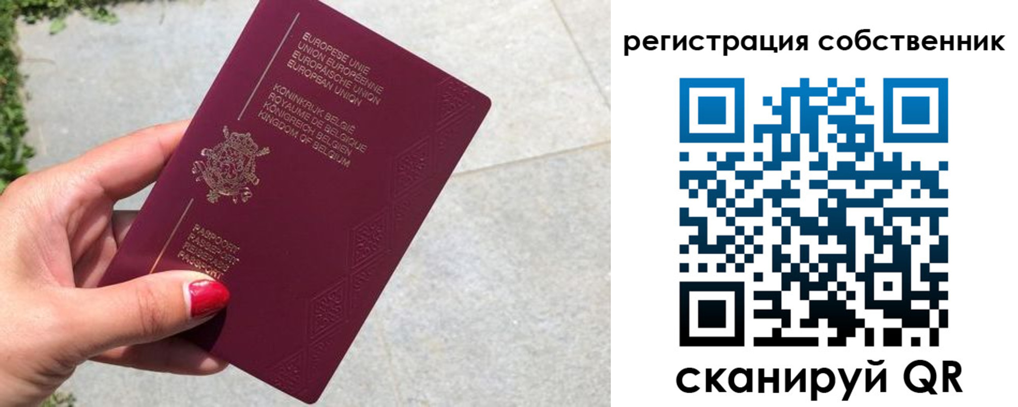 временная регистрация поиск в Нижнекамске